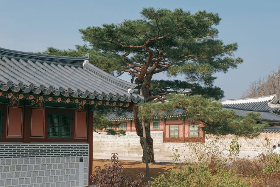 As Hangeul Turns 100, Korea Looks Ahead to the Language’s Next Century